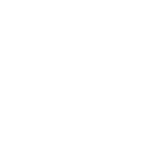 Our Vision
